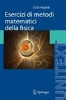 Giuseppe Angilella - Esercizi di metodi matematici della fisica