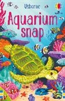 Baer Sam, Jessica Bretherton - Aquarium snap