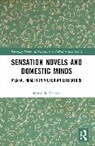 Mathilde Vialard - Sensation Novels and Domestic Minds