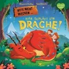 Rhiannon Findlay, Siân Roberts - Bitte nicht wecken ... Hier schläft ein Drache!