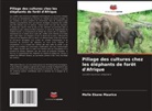 Melle Ekane Maurice - Pillage des cultures chez les éléphants de forêt d'Afrique
