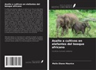 Melle Ekane Maurice - Asalto a cultivos en elefantes del bosque africano
