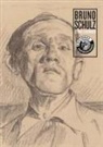 Bruno Schulz - Bruno Schulz, El país tenebroso