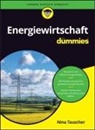 Nina Tauscher - Energiewirtschaft für Dummies