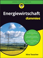 Nina Tauscher - Energiewirtschaft für Dummies