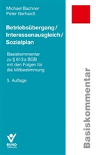 Michael Bachner, Peter Gerhardt - Betriebsübergang / Interessenausgleich / Sozialplan