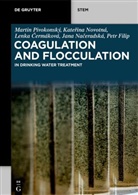 Petr Filip, Martin Pivokonský - Coagulation and Flocculation