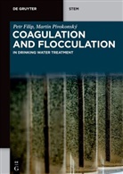Petr Filip, Martin Pivokonský - Coagulation and Flocculation