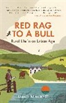 Jamie Blackett - Red Rag To A Bull