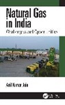 Jain Anil Kumar - Natural Gas in India