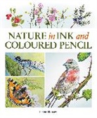Helen Hanson, Hanson Helen - Nature in Ink and Coloured Pencil