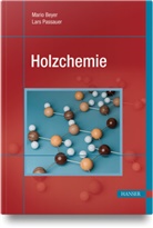 Mario Beyer, Lars Passauer - Holzchemie