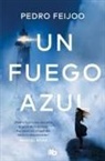 Pedro Feijoo - Un fuego azul