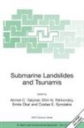 Emile Okal, Efim N. Pelinovsky, Costas E. Synolakis, Ahmet C. Yalçiner - Submarine Landslides and Tsunamis