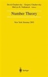 David Chudnovsky, Gregory Chudnovsky, Melvyn B. Nathanson - Number Theory