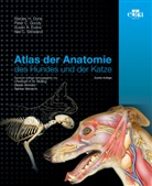 Stanley H. Done, Susan A. Evans, Peter C. Goody, Neil C. Stickland, Stefan Arnhold, Christoph K.W. Mülling... - Atlas der Anatomie des Hundes und der Katze