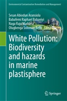 Sesan Abiodun Aransiola, Babafemi Raphael Babaniyi, Olugbenga Solomon Bello, Naga Raju Maddela, Nag Raju Maddela et al, Babafemi Raphael Babaniyi - White Pollution: Biodiversity and hazards in marine plastisphere