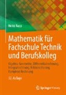 Heinz Rapp - Mathematik für Fachschule Technik und Berufskolleg