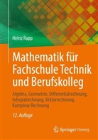 Heinz Rapp - Mathematik für Fachschule Technik und Berufskolleg