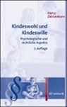 Harry Dettenborn - Kindeswohl und Kindeswille