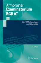 Christian Armbrüster - Examinatorium BGB AT