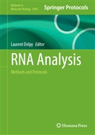 Laurent Delpy - RNA Analysis