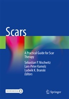 Ludwik K. Branski, Ludwik K Branski, Lars-Peter Kamolz, Sebastian P. Nischwitz - Scars
