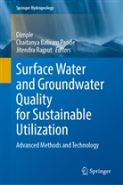 Chaitanya Baliram Pande, Dimple, Chaitanya Baliram Pande, Jitendra Rajput - Surface Water and Groundwater Quality for Sustainable Utilization