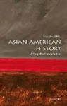 Editor, Hsu, Madeline Y. Hsu, Very Short Introductions - Asian American History a Very Short Introduction