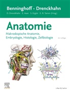 Esther Asan, Detlev Drenckhahn, Süleyman Ergün, Süleyman Ergün u a, Ernst R. Tamm - Benninghoff/Drenckhahn, Anatomie