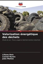 João Matias, Leonel Nunes, Liliane Reis - Valorisation énergétique des déchets