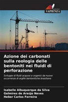 Isabelle Albuquerque da Silva, Heber Carlos Ferreira, Gelmires de Araújo Neves - Azione dei carbonati sulla reologia delle bentoniti nei fluidi di perforazione