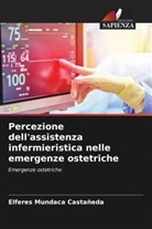 Elferes Mundaca Castañeda - Percezione dell'assistenza infermieristica nelle emergenze ostetriche