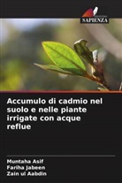 Zain ul Aabdin, Muntaha Asif, Fariha Jabeen - Accumulo di cadmio nel suolo e nelle piante irrigate con acque reflue