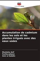 Zain ul Aabdin, Muntaha Asif, Fariha Jabeen - Accumulation de cadmium dans les sols et les plantes irrigués avec des eaux usées