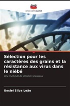 Ueslei Silva Leão - Sélection pour les caractères des grains et la résistance aux virus dans le niébé