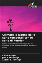 José F. Oliveira Jr., Rafael Rangel, Audalio R. Torres Jr. - Colmare le lacune delle serie temporali con le serie di Fourier
