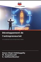Grace Shaji Chittilappilly, M. Karpakavalli, S. Satheeshkumar - Développement de l'entrepreneuriat