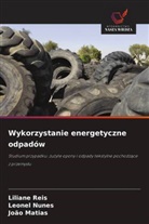 João Matias, Leonel Nunes, Liliane Reis - Wykorzystanie energetyczne odpadów