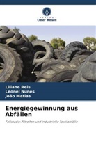 João Matias, Leonel Nunes, Liliane Reis - Energiegewinnung aus Abfällen