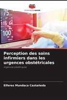 Elferes Mundaca Castañeda - Perception des soins infirmiers dans les urgences obstétricales