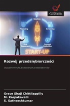 Grace Shaji Chittilappilly, M. Karpakavalli, S. Satheeshkumar - Rozwój przedsiebiorczosci