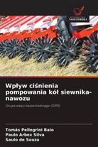 Paulo Arbex Silva, Saulo de Souza, Tomás Pellegrini Baio - Wplyw cisnienia pompowania kól siewnika-nawozu