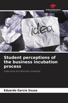 Eduardo Garcia Souza - Student perceptions of the business incubation process