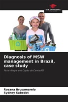 Rosana Brusamarelo, Sydney Sabedot - Diagnosis of MSW management in Brazil, case study