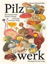 Ishita Chakraborty, Ni Küffer, Hannes Mangold, Hannes Mangold - Pilzwerk