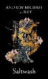 Andrew Michael Hurley, Hurley Andrew Michael - Saltwash