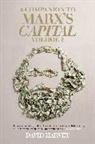 David Harvey - A Companion to Marx's Capital volume 2