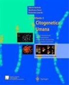 Fortunato Lonardo, Gianfranco Sacco, Valerio Ventruto - Testo-Atlante di Citogenetica Umana