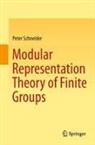 Peter Schneider - Modular Representation Theory of Finite Groups